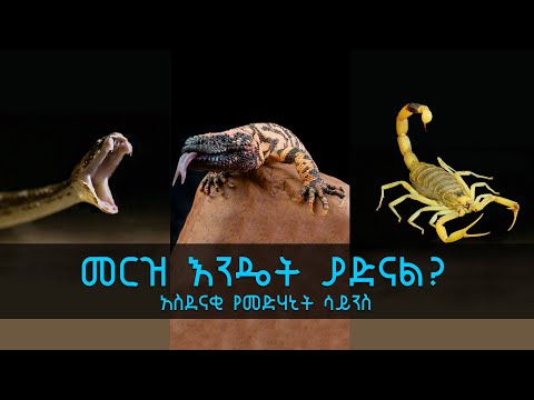 TechTalk With Solomon S18 Ep12: መርዝ እንዴት ያድናል? አስገራሚ የመድሃኒት ሳይንስ
