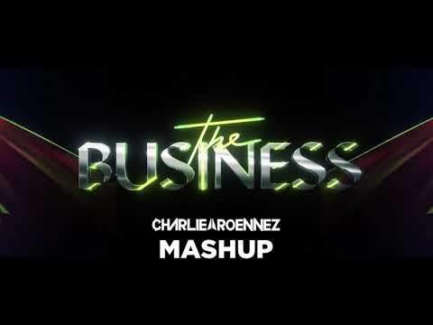 Tiesto vs David Novacek - The business (Charlie Roennez Mashup)