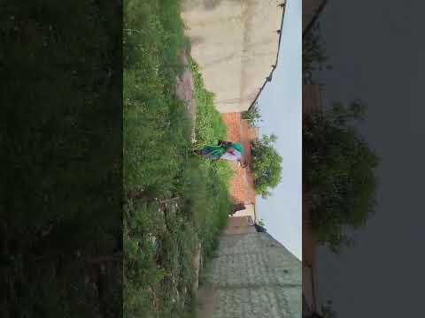 campaña de fumigación en el barrio el portal de bosconia César