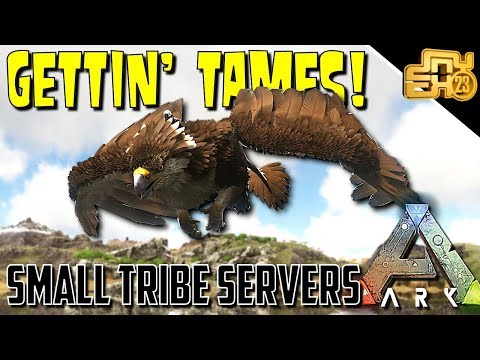 ARK: SMALL TRIBE SERVERS - EP 10 - TAMING ALL THE THINGS!