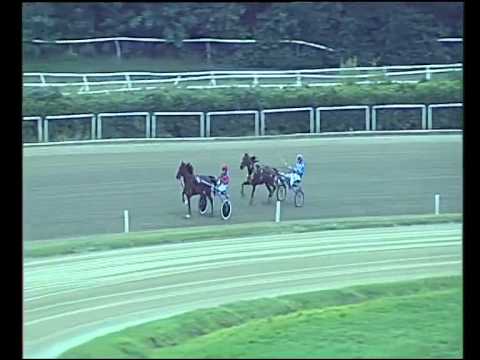 Trotto 13/09/2015 - 3° prova di qualifica