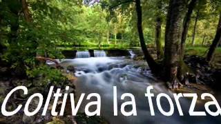 Chiquitita   Richard Clayderman