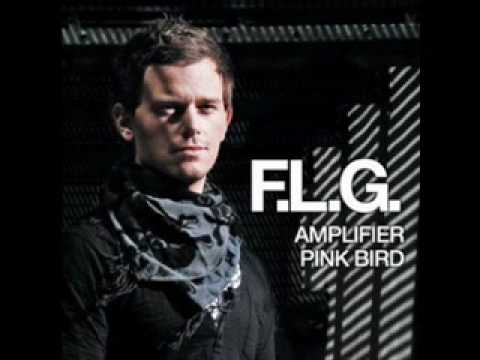 Fedde Le Grand Amplifier vs Walking On A Dream Goodwill Bootleg