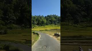 Download lagu Rekomendasi, jalan2, naringgul, Indahnya kecamatan naringgul, balegede, cianjur selatan mp3 Download lagu Rekomendasi, jalan2, naringgul, Indahnya kecamatan naringgul, balegede, cianjur selatan mp3
