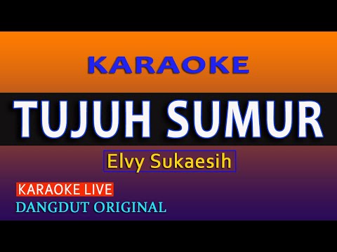 TUJUH SUMUR KARAOKE - ELVY SUKAESIH