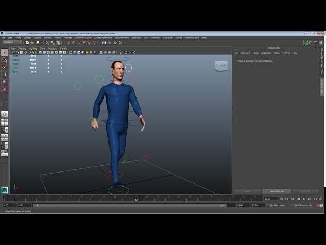 Walk Cycle Basics - Maya Tutorial
