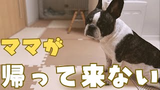 残業でお疲れのママを迎えに行きます🫡