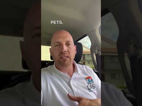 Dash project video