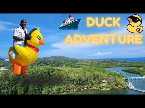 Thumbnail for Rubber Duckies on Carnival Cruise: What You Need to Know