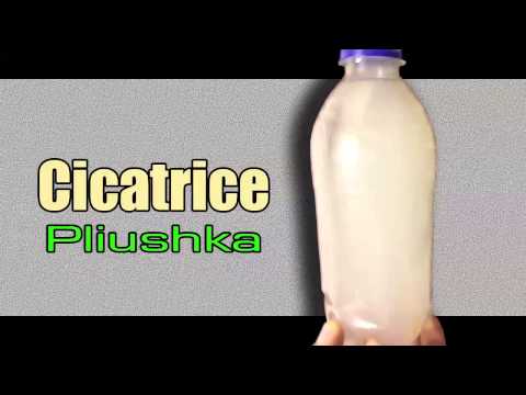 Cicatrice x Bizz - Pliushka (prod. Ortega)