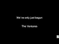 We´ve only just begun (The Ventures) BT