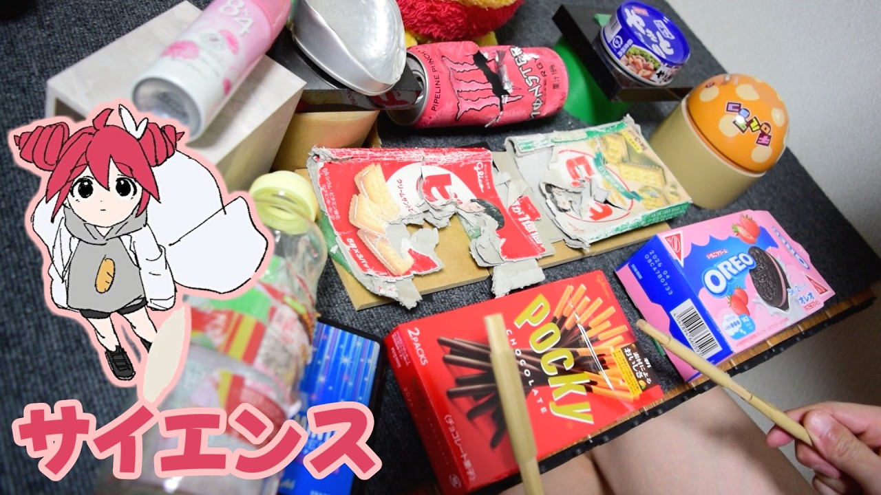 「サイエンス」を家にあったゴミで叩いてみた