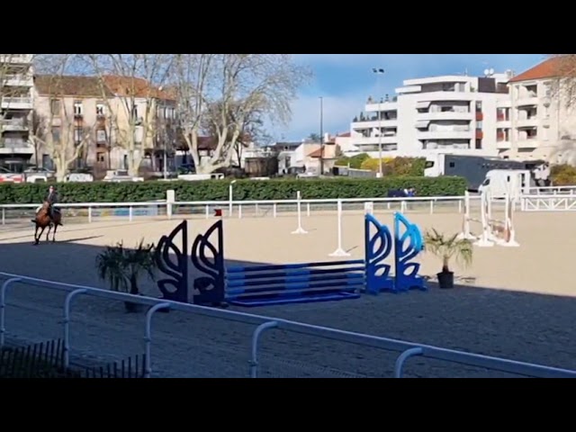 Jument plein papier SF 5 ans 