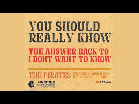 You Should Really Know / The Pirates Feat  Enya, Shola Ama & Naila Boss