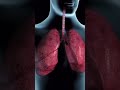 Tuberculosis TB Symptoms Symptoms Tb