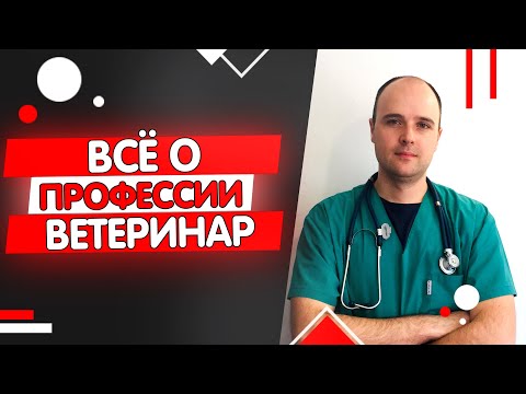 Вет видео