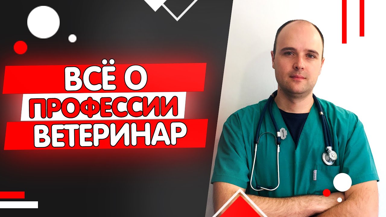 Видео о профессии ветеринар
