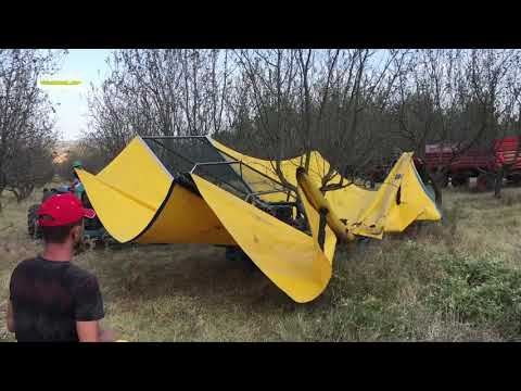 Yılda 20000 Ceviz ve Badem Ağacı Hasat Eden Makine