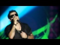 TOMATE DVD ATITUDE - Girassol
