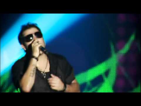 Girassol - Tomate