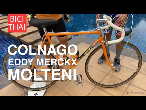 Colnago Eddy Merckx MOLTENI