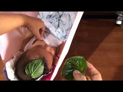 download lagu mp3 mp4 Tips Obat Batuk Anak, download lagu Tips Obat Batuk Anak gratis, unduh video klip Tips Obat Batuk Anak
