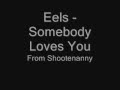 Eels - Somebody Loves You.wmv