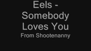 Eels - Somebody Loves You.wmv
