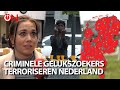Criminele gelukszoekers terroriseren Nederland | Ongehoord Nieuws