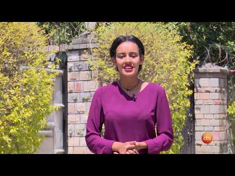 EBS TV: Aflatoun Program Enhances Social and Financial Education for School Children in Addis Ababa