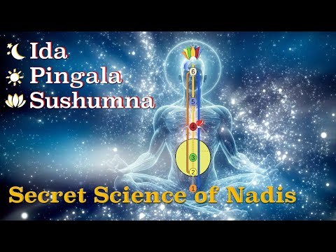 Entschlüsselung der Geheimnisse von Ida, Pingala, Sushumna Nadis und Bewusstsein – Verborgene Wis...