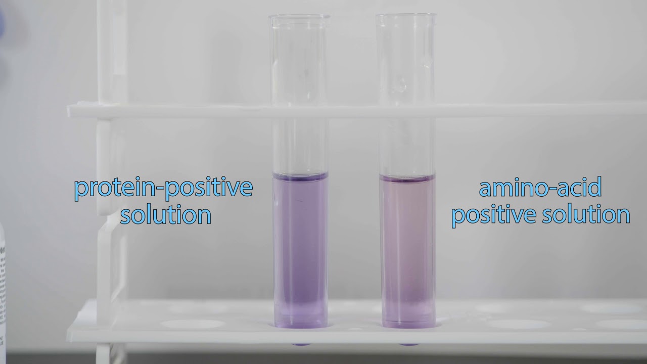 How to Interpret Biuret Color Change