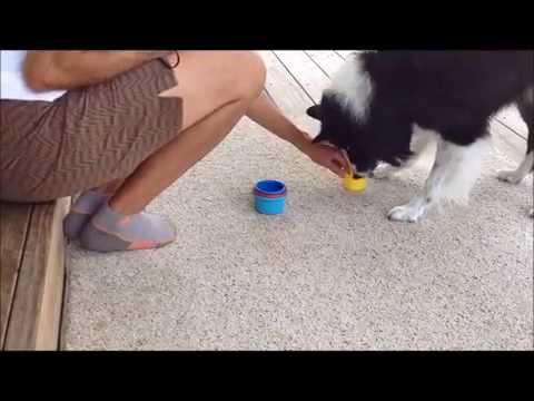 Sybil Learns to Stack Cups Sept 2014