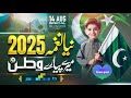 New Mili Naghma 2025 Dil Dil Pakistan 14 August National Song Watan Watan Yasir Ali Qadri Viral
