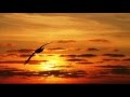 The Moon Seven Times - Giannis 