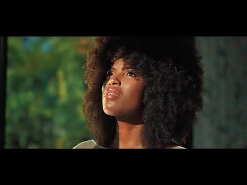 A écouter en préparant Choucroute chic, aux cèpes et au marsala, cailles braisées