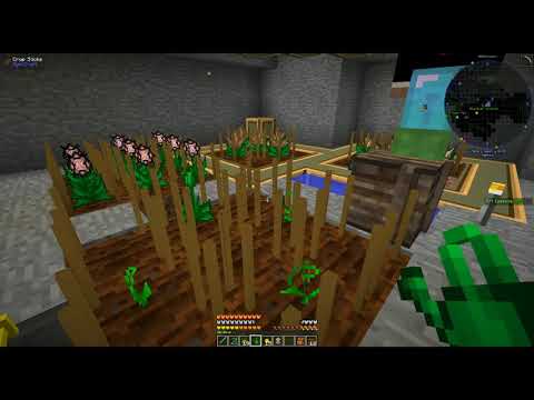 Minecraft MC-Eternal ~ Couples Therapy Ep 63 ~