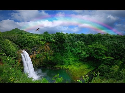 The Garden Island Kauai Hawaii 2016