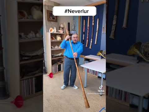 The Neverlur