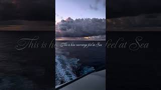 This is one of those moments you don’t really expect on a cruise…