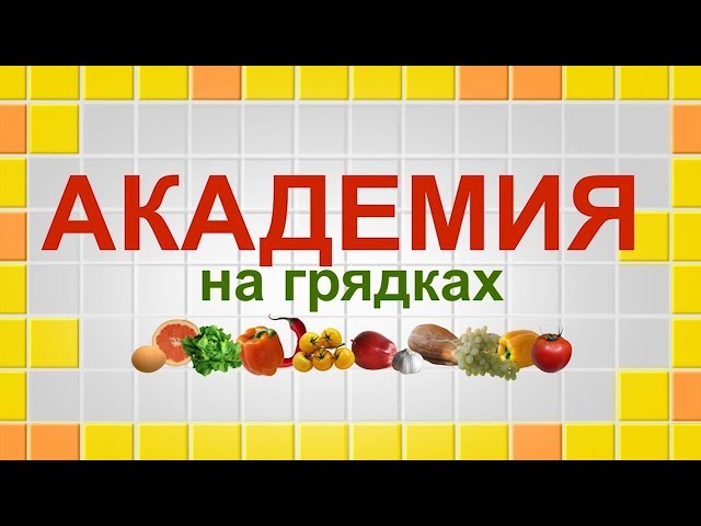 Академия на грядках 4 декабря 2019