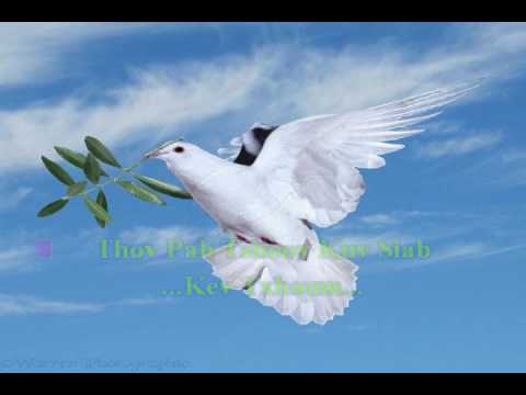 Tug Tswv Thov Koj Hlub Kuv (nkauj tawm tshiab 2017)