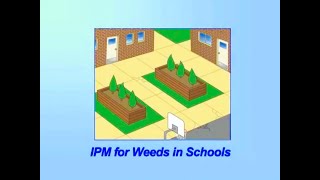 How to Get Rid of and Prevent Weeds - IPM