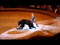 Melissa And Mike At The Circus