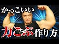 ダンベルだけで理想の力こぶを手に入れる!解剖学的に解説をして最短で上腕二頭筋をデカくする方法