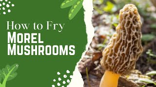 How To Fry Morel Mushrooms