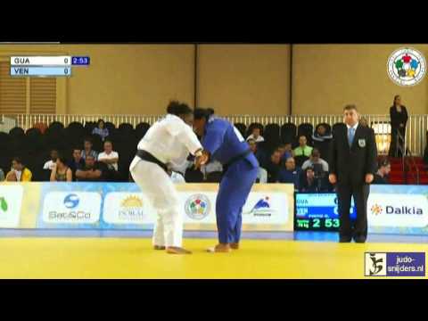 Judo 2013 Grand Prix Miami: Nolberto Labriel (GUA) - Pinto (VEN) [-78kg] rep