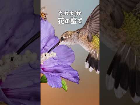 ハチドリの巣の守護者