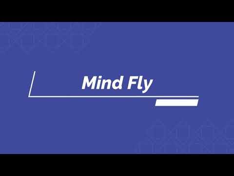 Mind Fly