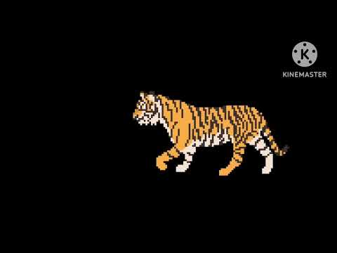 Asian Animals - The Kids' Picture Show